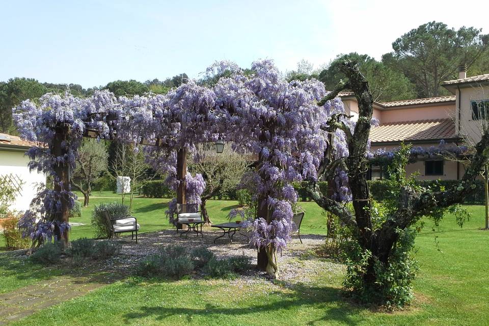 Montebelli Agriturismo & Country Hotel