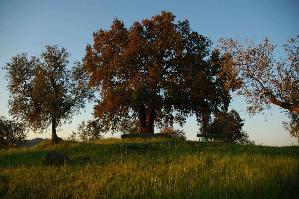 Montebelli Agriturismo & Country Hotel