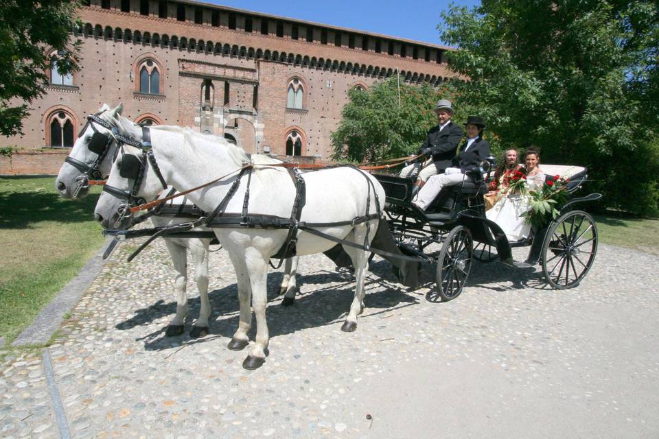 Matrimonio in carrozza