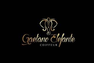 Gaetano Elefante logo