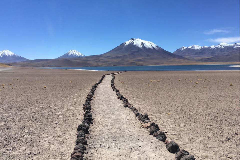 Cile | Deserto di Atacama