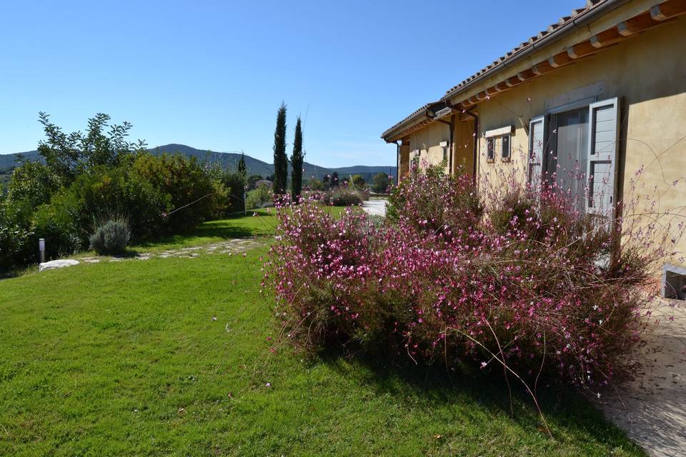 Argillosa Luxury Villa