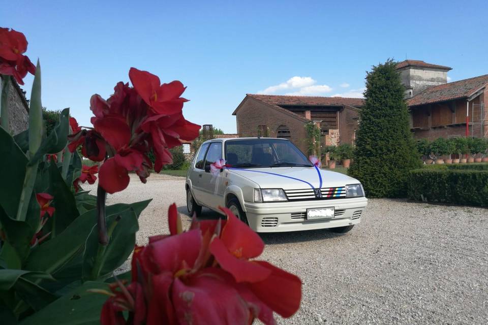 Peugeot 205 rallye