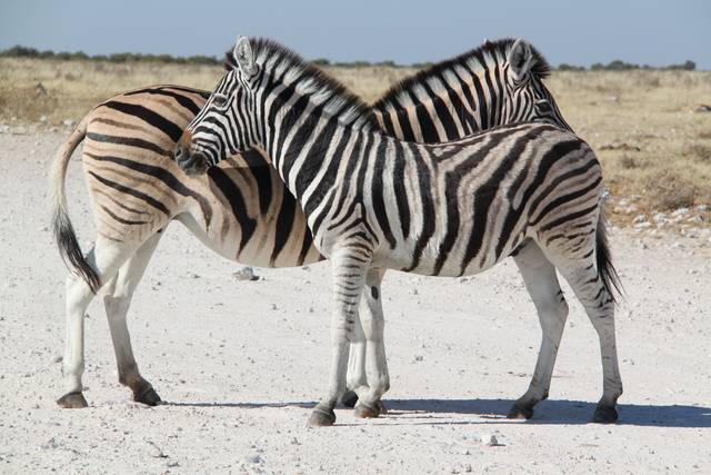 Namibia