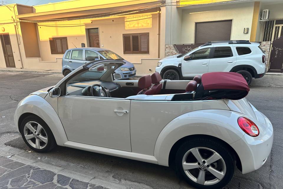 New Beetle Cabrio 2