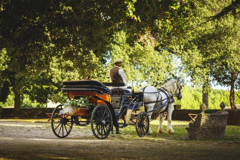 Carrozza con cavalli