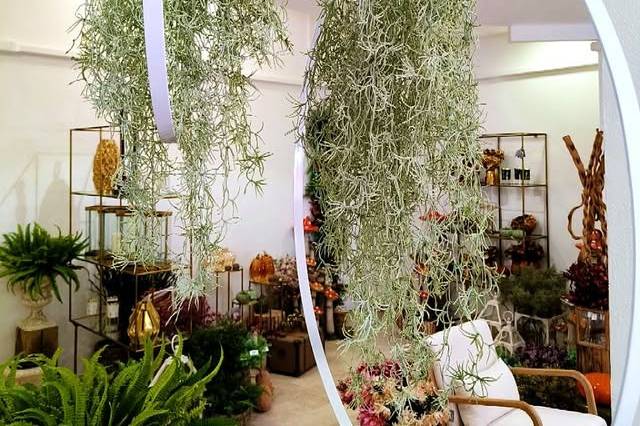 Lilium Atelier