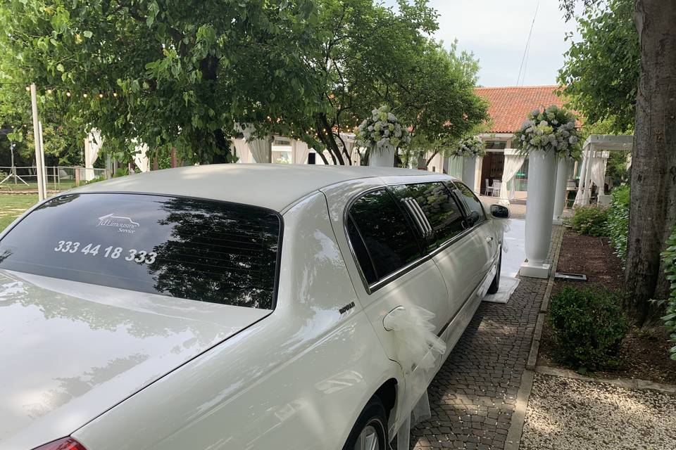 Limousine corta