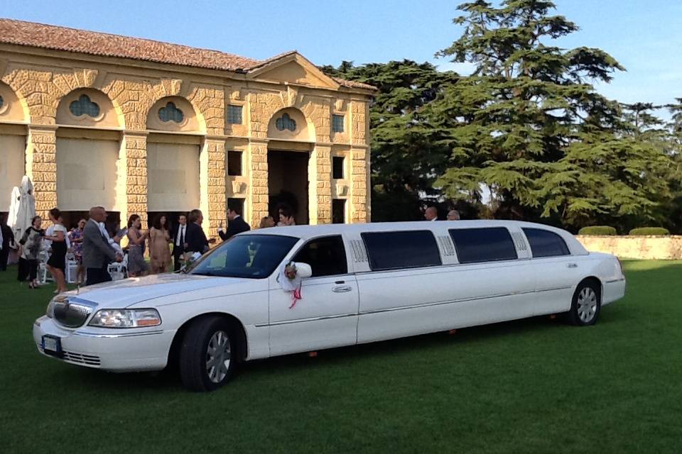 Noleggio limousine metri 8,60