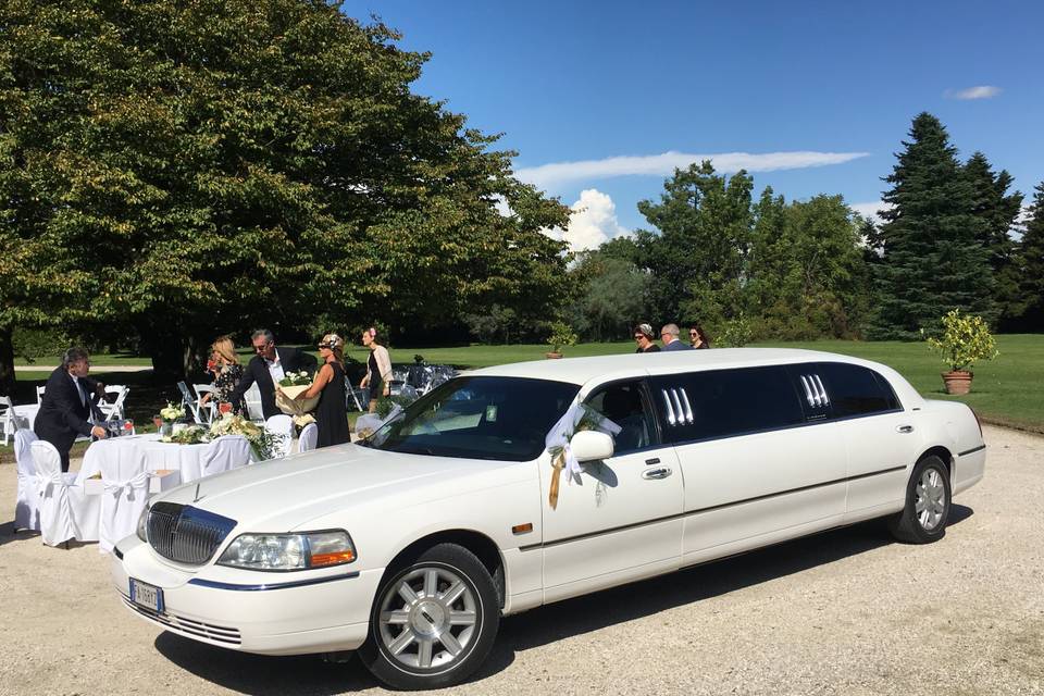 Limousine corta