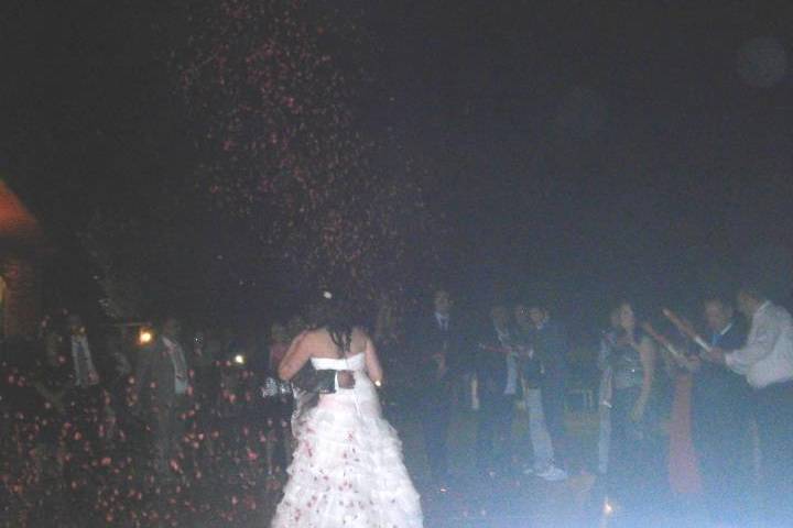 A ogni sposa la sua festa