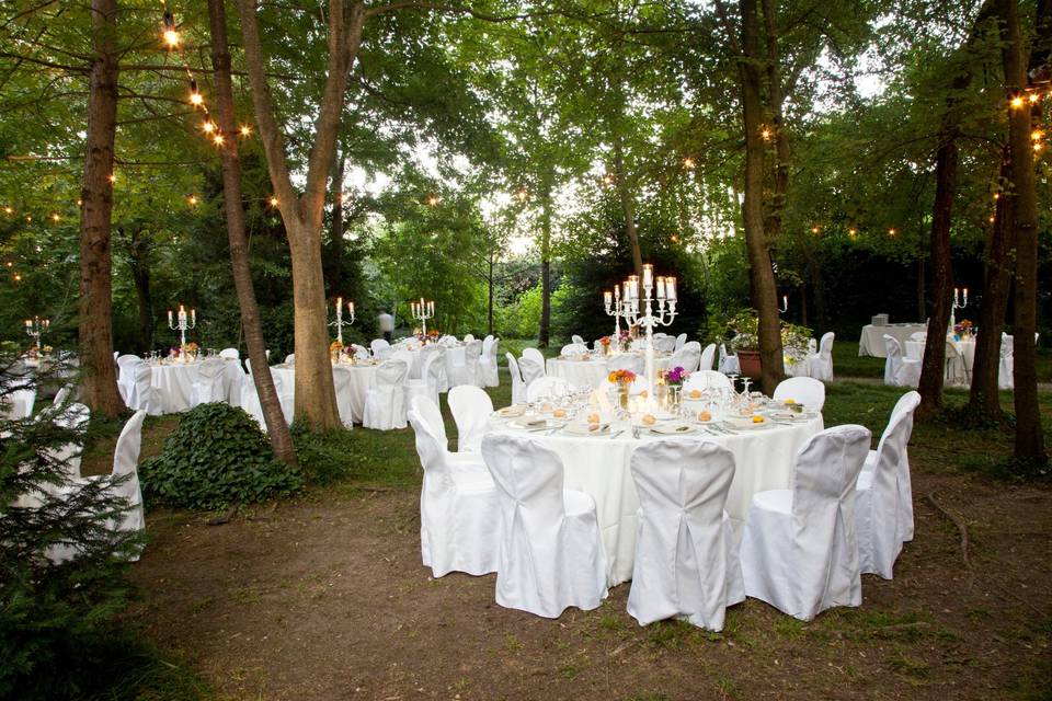 Cena nel bosco