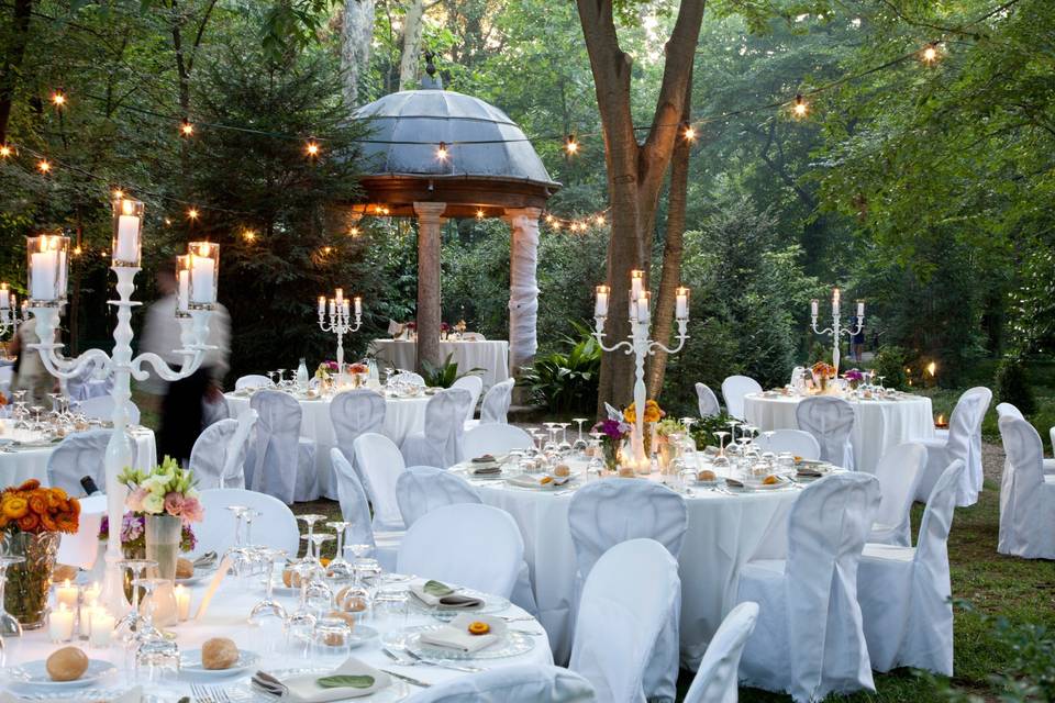 Cena nel bosco