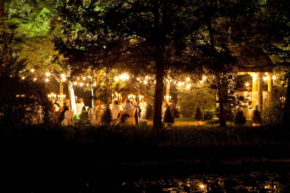 Cena nel bosco