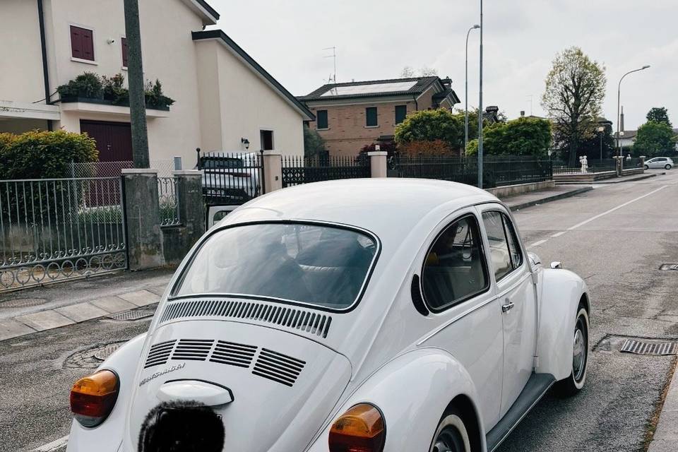 Retro Maggiolino