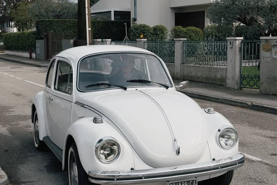 Fronte Maggiolino