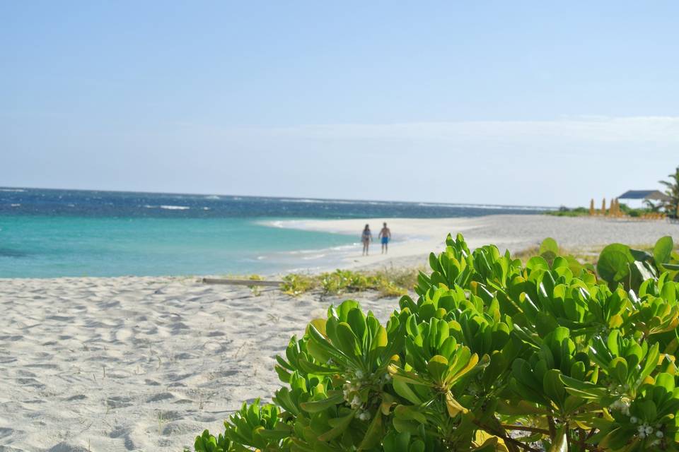 Anguilla Isola dei Caraibi