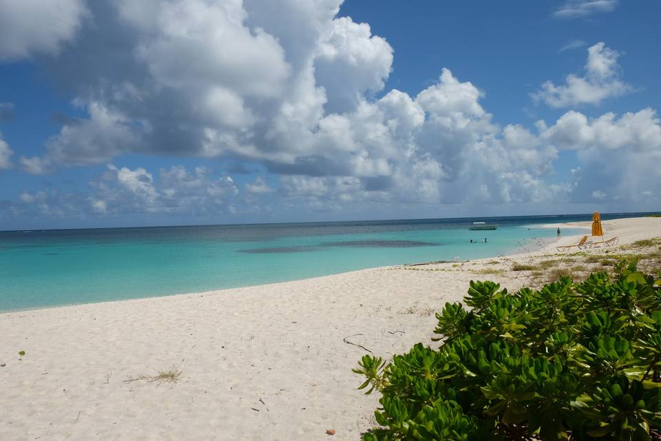 Anguilla Isola dei Caraibi