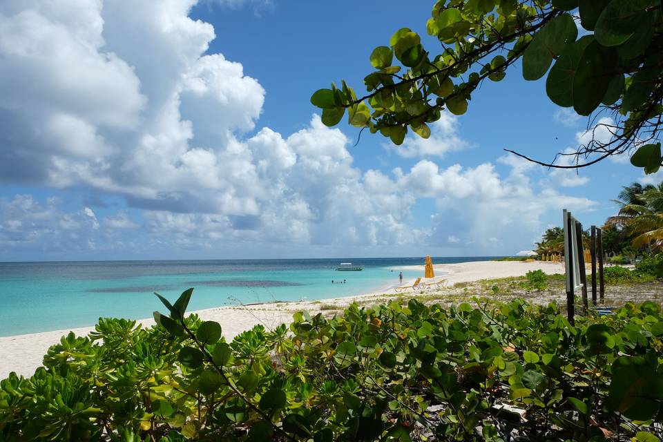 Anguilla Isola dei Caraibi