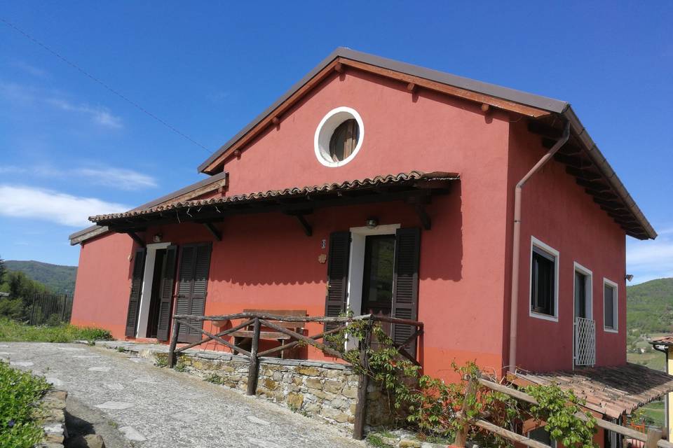 Tenuta MonteOliveto