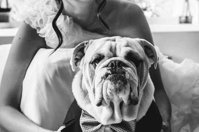 Servizio Sposa