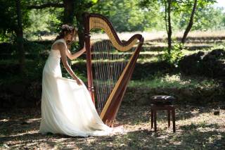 Arpa Music
