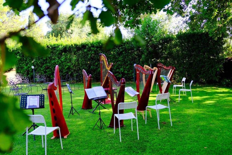 Ensemble