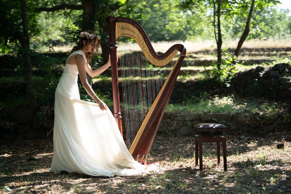 Arpa Music