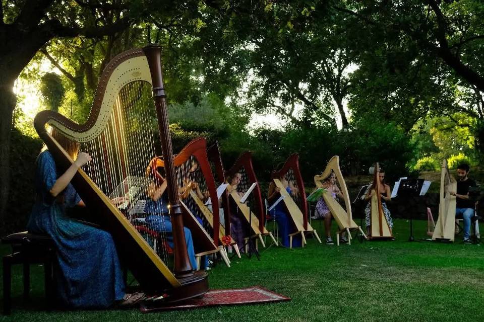 Ensemble di Arpe