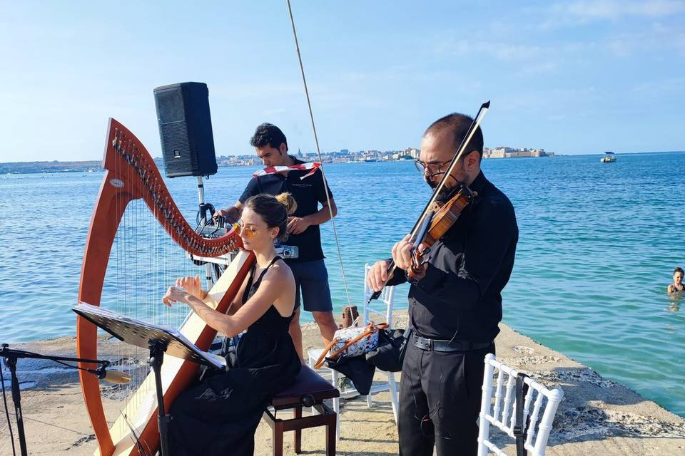 Arpa Celtica