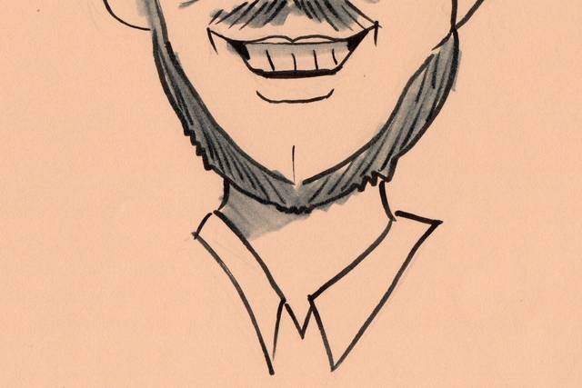 Caricatura singola