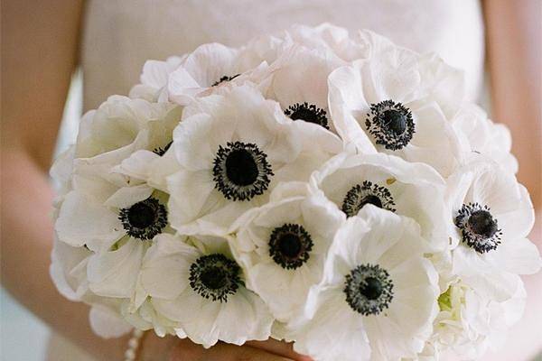 Bouquet anemoni