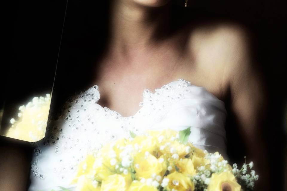 Copyright raffaele montepaone