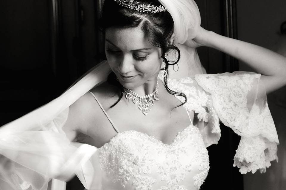 Copyright raffaele montepaone