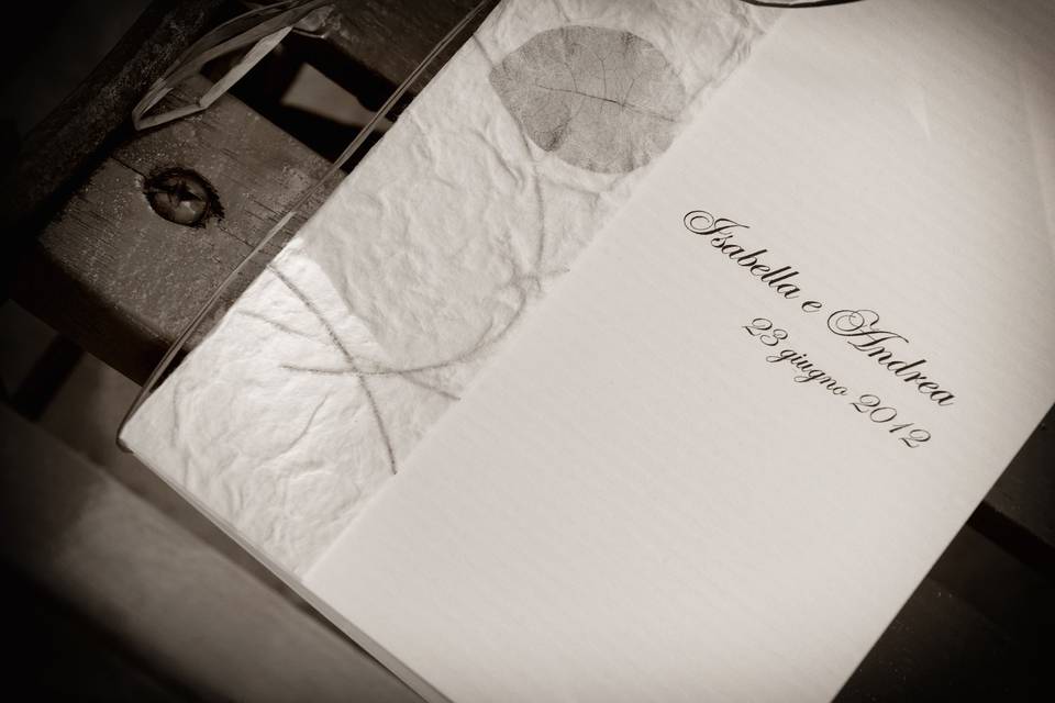 Copyright raffaele montepaone