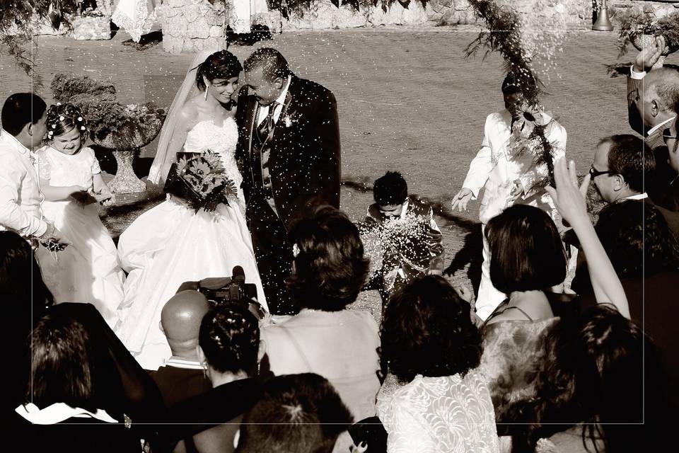 Copyright raffaele montepaone