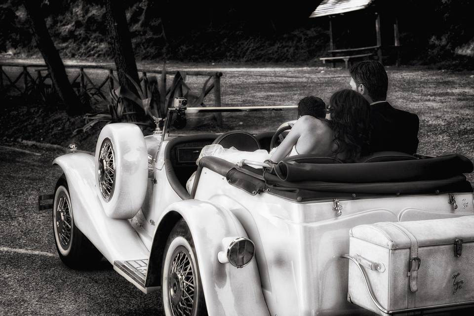 Copyright raffaele montepaone