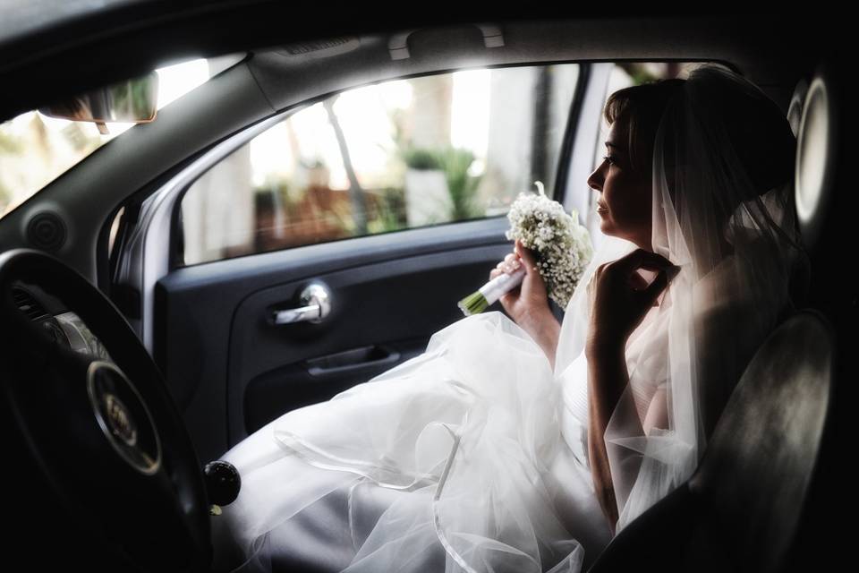 Copyright raffaele montepaone