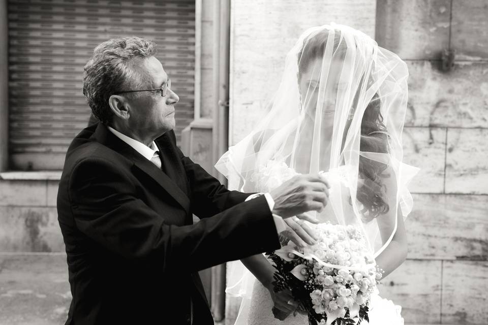 Copyright raffaele montepaone