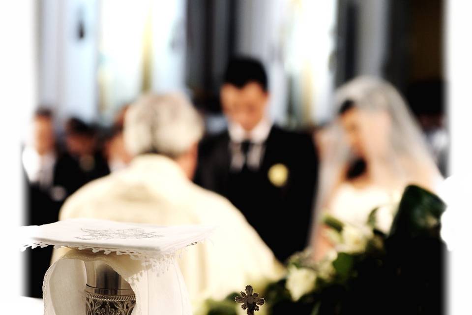 Copyright raffaele montepaone