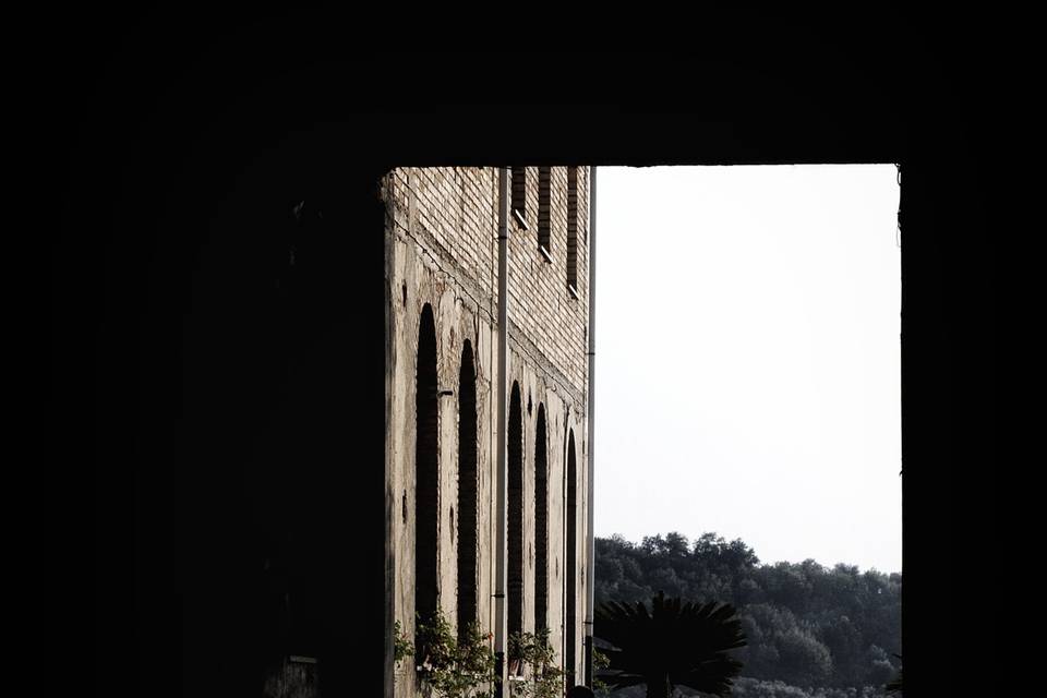 Copyright raffaele montepaone