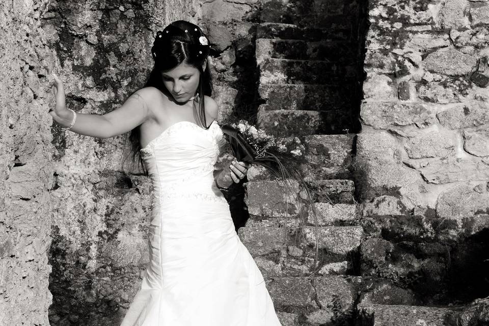 Copyright raffaele montepaone