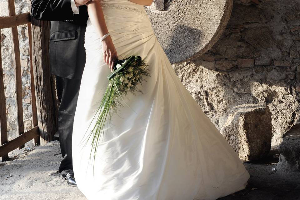 Copyright raffaele montepaone