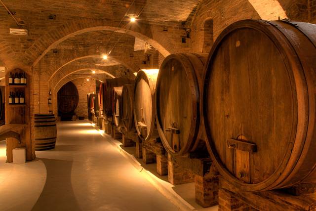 Escursioni in cantine