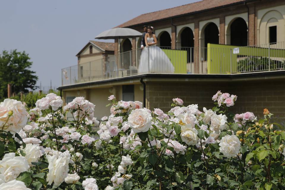 Dal giardino delle rose