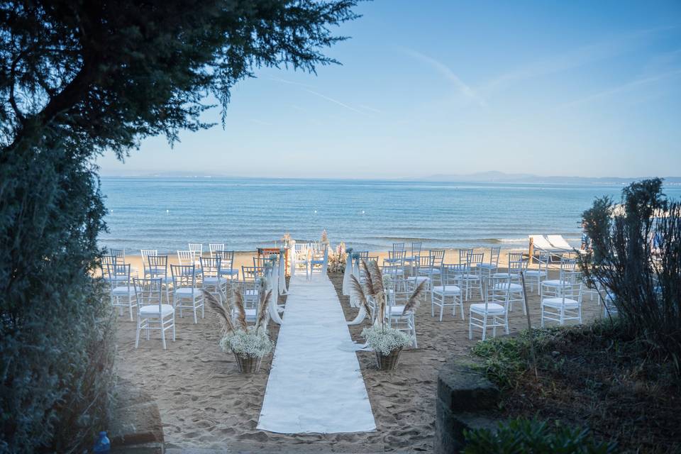 Wedding C+F