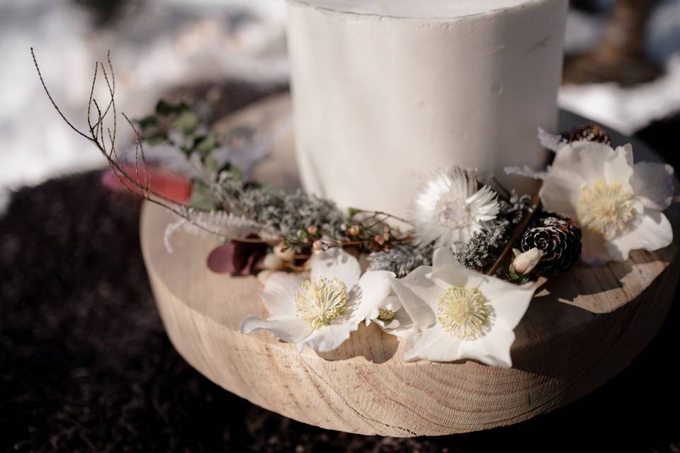 Wedding on the snow