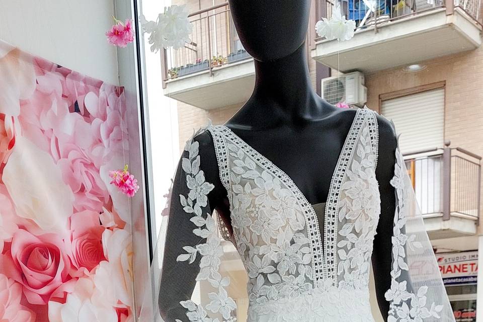 New collection