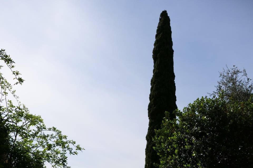 Il giardino al piano zero