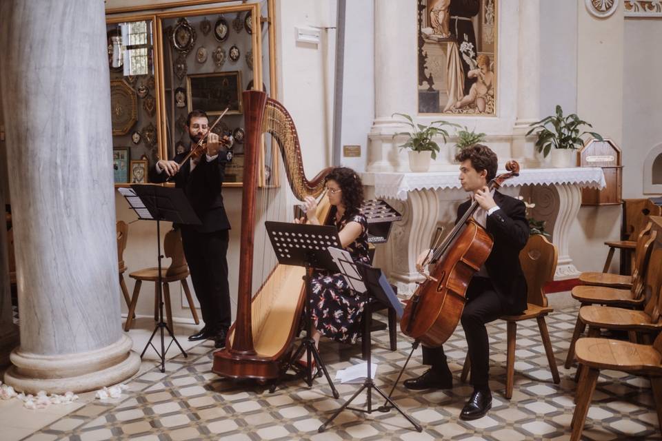 Arpa, violino e violoncello